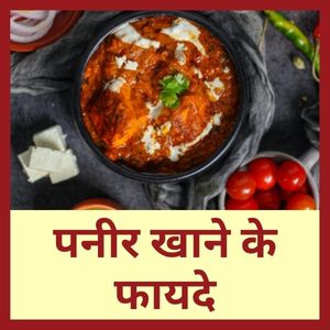 Paneer khane ke fayde