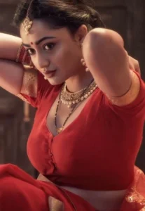 Hindi Sexy Video